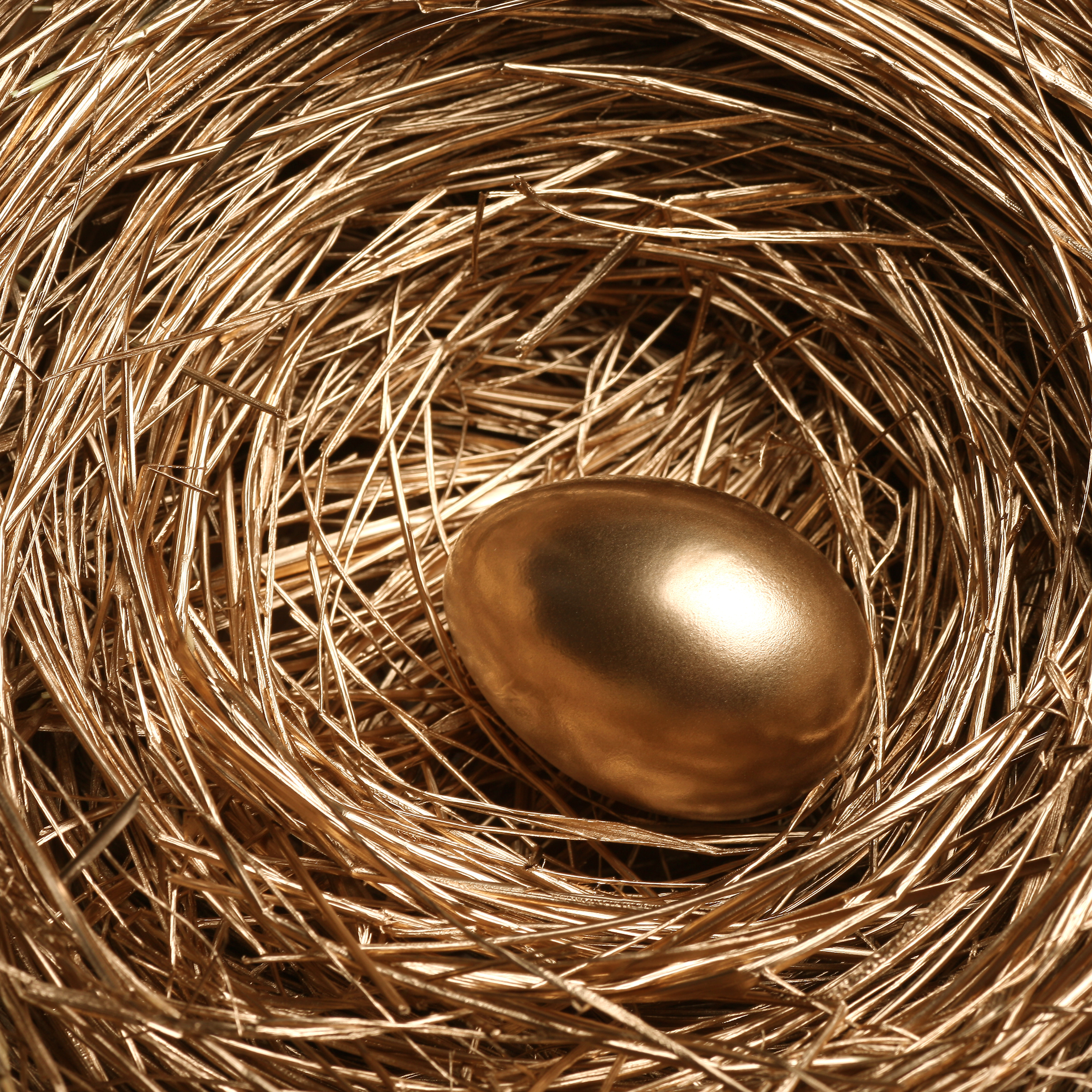 640-a-golden-egg-shimmering-among-the-twigs-of-a-bird-s-nest-generative-ai